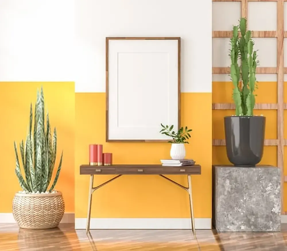 Freshly painted two-tone interior wall and entryway in a Vacaville, CA home